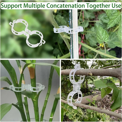 Tomato Clips Plastic Trellis Clips
