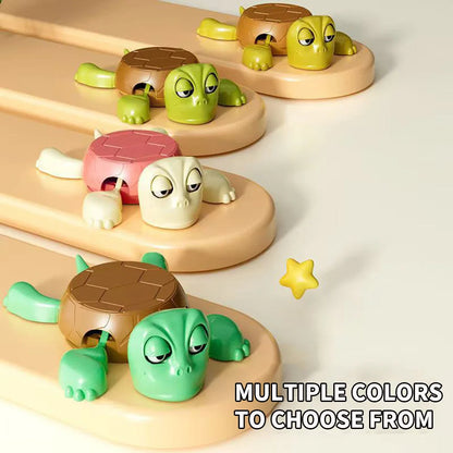 Turtle Coaster Funny