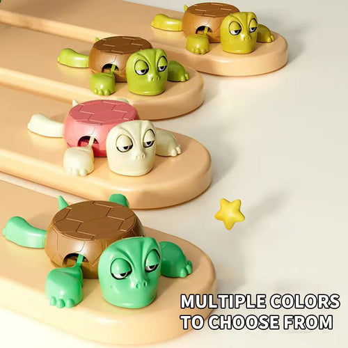 Turtle Coaster Funny